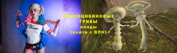 трава Абдулино
