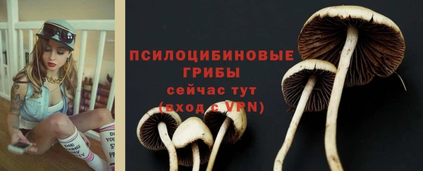 трава Абдулино