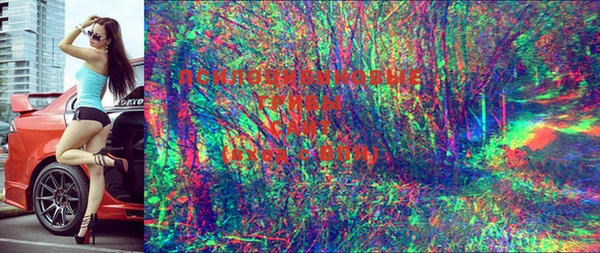 соль курить ск Алзамай