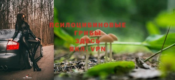 соль курить ск Алзамай