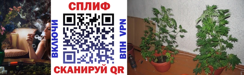 Каннабис SATIVA & INDICA  цена   Мантурово 